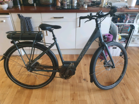 ridgeback electron plus
